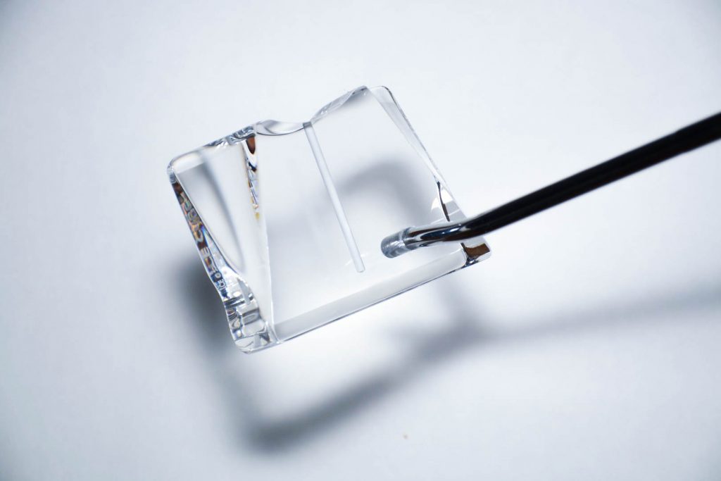 icecubesite2